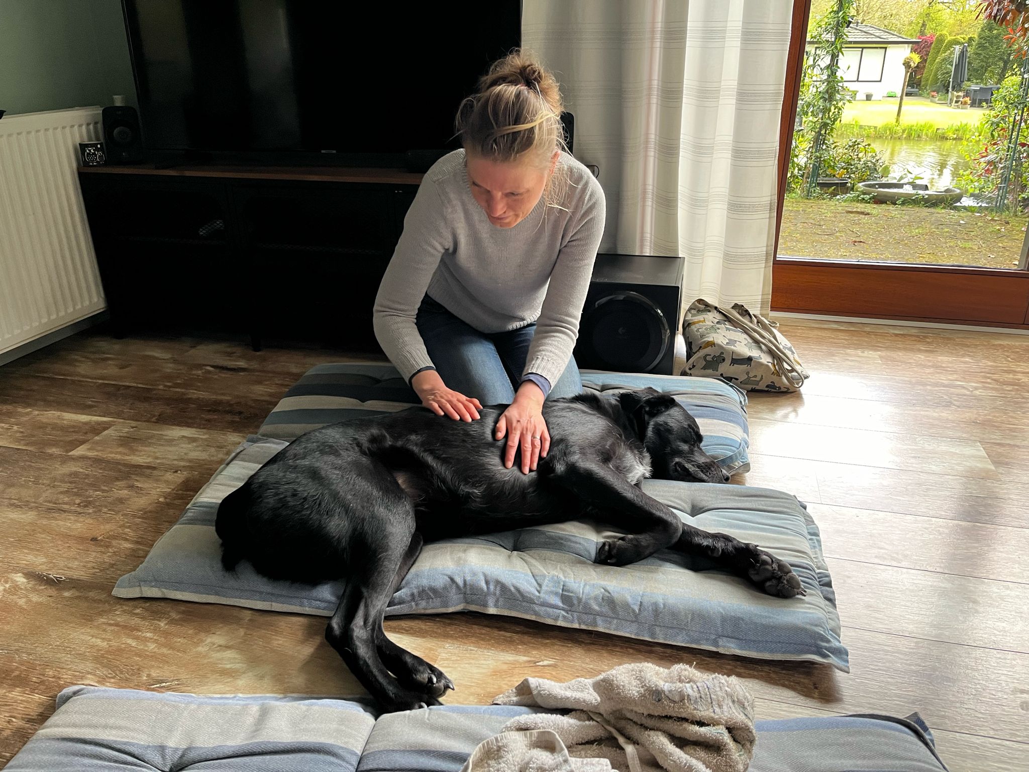 Hondenmassage met Marcella Oerlemans